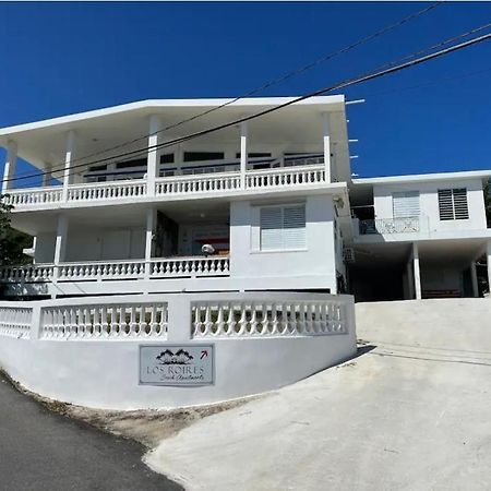 Los Roires Beach Apartments Fajardo Luaran gambar